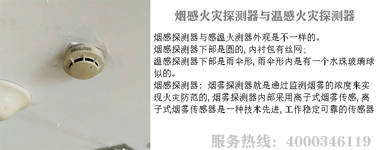 糖心污下载探测器